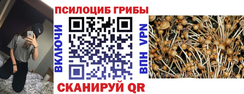где купить наркоту Димитровград Галлюциногенные грибы MAGIC MUSHROOMS