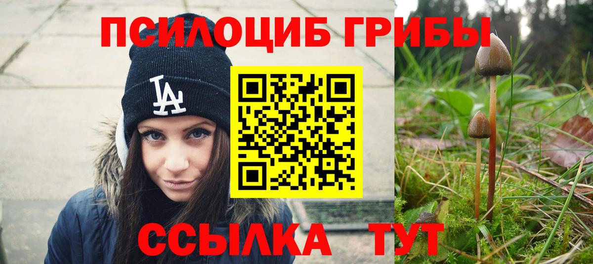 даркнет сайт  Галлюциногенные грибы Psilocybe  Вход с VPN  Димитровград 