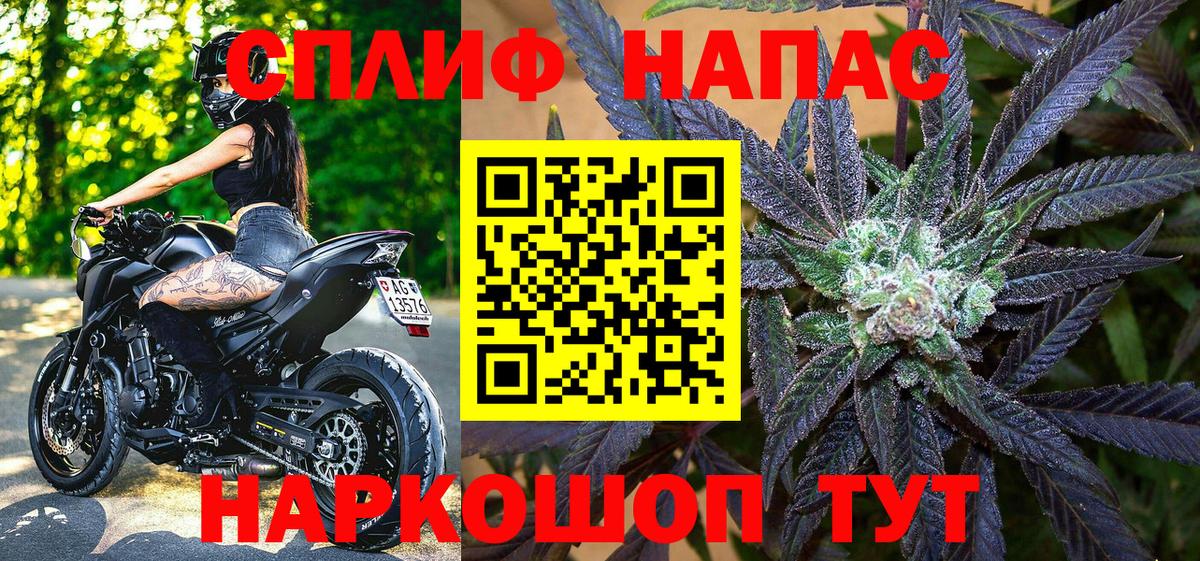 Каннабис индика Димитровград